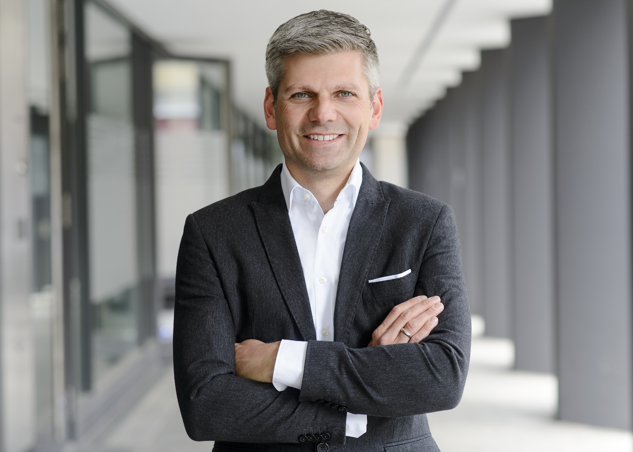 Stephan Theis, Autor von The German Way